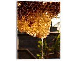 Acrylglas - Bijenkorf met veel Honing - 30x40cm Foto op Acrylglas (Wanddecoratie op Acrylglas)