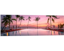 Acrylglas - Palmbomen bij Ligbedden aan het Water tijdens de Avondzon - 120x40 cm Foto op Acrylglas (Wanddecoratie op Acrylaat)