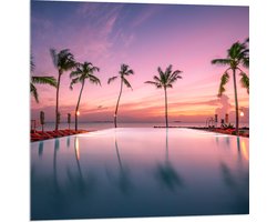 Acrylglas - Palmbomen bij Ligbedden aan het Water tijdens de Avondzon - 80x80 cm Foto op Acrylglas (Met Ophangsysteem)