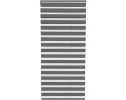ACXIN Zebra Rollo Klemmfix - Zonder Boren - Lichtdoorlatend en Verduisterend - 100x220cm Grijs