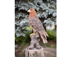 Adelaar / Arend bruin roofvogel 40 cm hoog - polyester - polyresin - polystone - hoogkwalitatieve kunststof - decoratiefiguur - interieur - accessoire - voor binnen - voor buiten - cadeau - geschenk - Kerst - Nieuwjaar - tuinbeeld