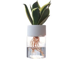 Adore Maison vaasje voor stekjes of droogbloemen - Vazen - Klassieke of landelijke bloemenvaas - Vaasje met kunststof dop - Woonaccessoires voor bloemen en boeketten - Decoratieve accessoires