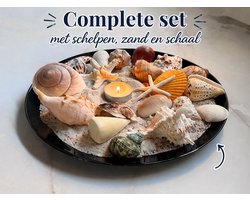 Afecto complete set Schelpen in Opbergdoos + schelpenzand + schaal – grote set natuurlijke schelpen en zeesterren – Schelpenset – Decoratie en Knutselen