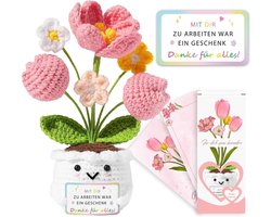 Afscheidscadeau voor collega's, afscheidsgeschenk, beste collega, geluksbrenger, pocket hug, roze tulp met energiekaart, bedankje, geschenken voor vrouwen