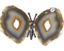 Agaat vlinder de Luxe nr.7