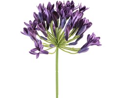 Agapanthus kunstbloemen paarse decoratie lelies 75cm 2 stuks