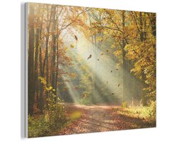 Akoestisch wandpaneel 100x70 cm - Vilt schilderij Bos - Bomen - Herfst - Zon - Herfstbladeren - Natuur - Akoestische panelen - Geluidsdempende wanddecoratie - Geluidsisolatie woonkamer - Muurdecoratie geluidspanelen