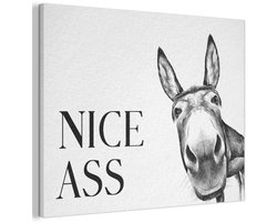 Akoestisch wandpaneel 100x70 cm - Vilt schilderij Quote - Ezel - Dieren - Nice ass - Spreuken - Akoestische panelen - Geluidsdempende wanddecoratie - Geluidsisolatie woonkamer - Muurdecoratie geluidspanelen