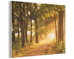 Akoestisch wandpaneel 40x30 cm - Vilt schilderij Bos - Bomen - Zonlicht - Herfst - Bospad - Natuur - Akoestische panelen - Geluidsdempende wanddecoratie - Geluidsisolatie woonkamer - Muurdecoratie geluidspanelen