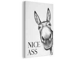 Akoestisch wandpaneel 60x90 cm - Vilt schilderij Quote - Ezel - Dieren - Nice ass - Spreuken - Akoestische panelen - Geluidsdempende wanddecoratie - Geluidsisolatie woonkamer - Muurdecoratie geluidspanelen