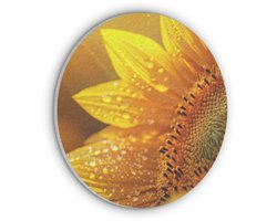 Akoestisch wandpaneel rond 60x60 cm - Vilt schilderij Zonnebloem - Dauwdruppels - Geel - Zonlicht - Ronde akoestische panelen - Geluidsdempende wanddecoratie - Geluidsisolatie wandcirkel - Muurdecoratie geluidspanelen