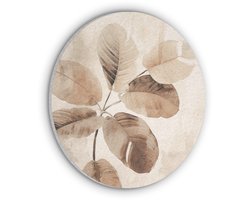 Akoestisch wandpaneel rond 90x90 cm - Vilt schilderij Gedroogde plant - Natuur - Bruin - Planten - Ronde akoestische panelen - Geluidsdempende wanddecoratie - Geluidsisolatie wandcirkel - Muurdecoratie geluidspanelen