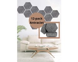 Akoestische panelen - Zelfklevend - Wandpanelen - Set van 12 stuks - Geluidsisolatie - Geluidspanelen - Plaktegels - Wandpaneel - Studio paneel - studioschuim - Antraciet