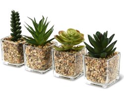 ALANGDUO Kunstplanten in Glazen Pot, Kunstmatige Vetplant, Decoratieve Kamerplant voor Woonkamer, Kleine Kunstplant voor Bruiloft, Kantoor, Huis, Woonkamer, Badkamer, 4 Stuks