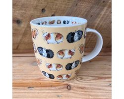 Alex Clark Mok Guinea Pigs ~ Cavia's