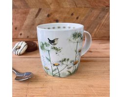 Alex Clark Mok Wren & Cow Parsley ~ Winterkoning