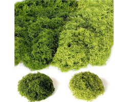 Allecta - Decoratief nep mos voor kamerplanten en tuin - Groen kunstmos voor landschapsarchitectuur - Realistische nepplant - Kunstplanten voor potten - Huis en terrasdecoratie