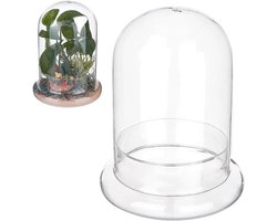 Allecta - Koepelvormige glazen afdekking 150 x 200 mm voor terrarium display - Tafeldecoratie met sokkel voor rotsen en monsters