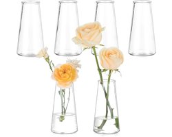 Allecta - Set van 6 kleine glazen vazen voor bloemen - Moderne bloemenvaas, 13 cm hoog - Tafeldecoratie, bruiloft, feest - Woonkamer decoratie