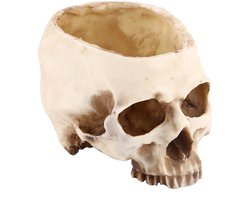 Allecto - Decoratieve Hars Schedel Bloempot - Plantenbak Container - Voor Thuis - Grijs - Uniek Design - Geschikt voor Binnen en Buiten Gebruik - Vintage Model - Schedel Plant Pot - AliExpress 15