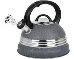 Allecto - Grijze fluitketel - Roestvrij staal - 3 liter - Inductie fornuis - Camping ketel - Theepot voor kachels - Thee en koffiezetapparaat