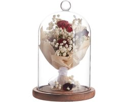 Allecto- Grote glazen bel - Rustieke bel - Houten sokkel - Planten - Tafeldecoratie - Helder glas - Geschikt voor lichtkettingen - Groen - 18 x 12 cm.