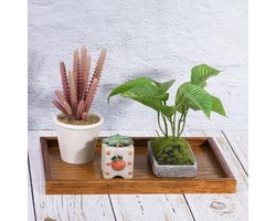 Allecto- Houten dienblad - rechthoekige decoratieve schaal - keukenblad - kaarsenhouder - thuiscafé dineren - geschikt voor alle gelegenheden - naturel hout - 30 x 20 cm.