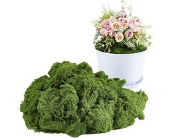 Allecto- Kunstmatig mos - Groene decoratie - DIY - 20 mm - Groen gras - Voor feestdecoratie - Bruiloftsfeest - Fotografie - Geschikt voor tafeldecoratie - Kunst - Feeëntuin - Decoratie voor muren