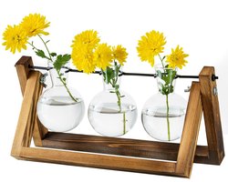 Allecto - Plant Propagation Station met 3 Glazen Vazen en Houten Standaard - Modern Tafeldecoratie voor Plantenliefhebbers
