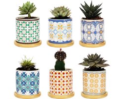 Allecto - Plantenpotten - Keramische potten - 6 Stuks - Bloempotten - Cactus/Succulenten - Decoratie - Geschikt voor Binnen - Diverse Kleuren - Potten met Bamboe Onderschotels & Afvoergaten - 7,5cm - 3 Inch.