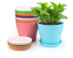 Allecto - Plantpotten - 8 kleurrijke bloempotten - 10 cm diameter - Met schotel - Voor tuin en balkon - Multicolor