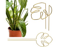Allecto Plus - 2stuks Plantensteunen Goud voor Groeiende Kamerplanten - Ideaal voor Stengelondersteuning - Herbruikbare Accessoires voor Plantengroei - Geschikt voor Binnen- en Buitenplanten