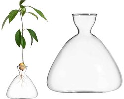 Allecto plus - Glazen Avocado Zaad Spruit Starter Vaas voor Avocado Boom Groei - Bureau Decoratie Indoor Tuinaccessoire met Clear Glas - Tafel Planten Vaas voor Thuisgebruik