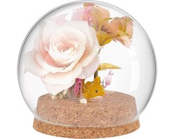 Allecto plus - Glazen koepel met sokkel voor stranddisplays en decoratie - 9,9 x 9,2 cm