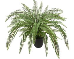 Allecto Plus - Grote Kunstmatige Varens Planten Decoratie Modern voor Woonkamer Balkon Slaapkamer Badkamer - Kunststof Planten Decoratie voor Tafel - Natuurlijke uitstraling - 80 cm