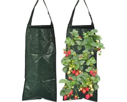 Allecto Plus - Hangende aardbeien-plantenzakken (2 stuks) met 8 gaten - ademend en verticaal - 25 x 60 cm