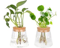 Allecto Plus - Hydrocultuurplantenterrarium voor tafeldecoratie en propagatie - Set van 2 vintage vazen - Glazen vaas voor planten en bloemen - Kamerplanten propagatiestation - Kogelvaas - Hydrocultuur.