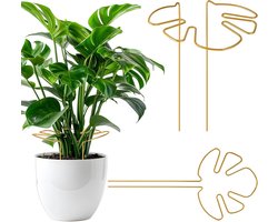 Allecto Plus - Plantensteun voor vaste planten en kamerplanten - Set van 2 - Roestvrij staal - Uniek bladdesign - Monstera-planten - Bloemen - Hortensia's - Alocasia - Decoratief (goud)