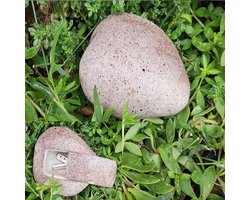 Allecto Plus - Sleutel Opbergdoos voor Huis en Tuin - Buiten Sleutel Safe - Decoratieve Fake Rock - Steen Case - Outdoor Decor - Veilige Houder voor Sleutels - Tuinaccessoire - (Y222-1)