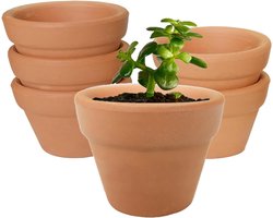 Allecto plus - Terracotta Potten Set van 6 voor Cactus en Sappige Planten - Met Drainage Gat - Ambachtelijke Projecten - 10x10 cm