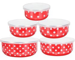 Allecto Premium - 5-delige noedels set voor soep en salade - kantoorbenodigdheden - dekselpatroon - thuis serveren - voorbereiding - emailleservies - punt-bakcontainer - gadgets - plastic deksel - room salades