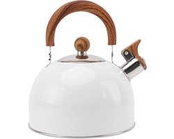 Allecto Premium - Klassieke Theepot Waterkoker voor Kung Fu Thee - Fluitende en Verwarmende Theepot - Nylon Huishoudelijke Accessoire