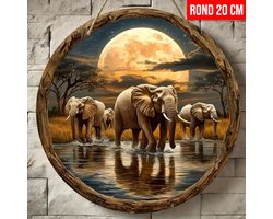 Allernieuwste.nl® Boheemse Olifanten Muurdecoratie Rond 20 cm – Vier Olifanten met Maan & Savanne Print - Raamdecoratie - Raam, Tuin & Woondecoratie – Perfect Cadeau - 20 x 20 cm