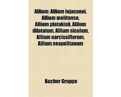 Allium