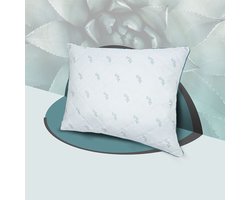 Aloë Vera - Hoofdkussen - Lux Hoofdkussen - 60x70 cm