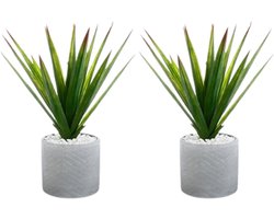 Aloe Vera Kunstplant - Set van 2 - Decoratieve Kamerplant met Keramische Pot - Grote Kunstplant Binnen - Onderhoudsvrije Groene Plant - Moderne Woondecoratie - Beton / PE - Multicolor