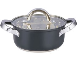 Alpina Kookpan met Deksel 1,9 Liter – RVS Pan 16 cm – Inductie – Glazen Deksel – Geschikt voor Alle Warmtebronnen