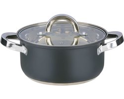 Alpina Kookpan met Deksel 2,4 Liter – RVS Pan 18 cm – Inductie – Glazen Deksel – Geschikt voor Alle Warmtebronnen