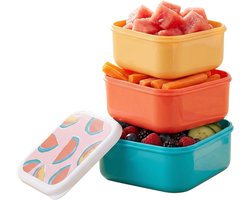 alpina Lunchbox Set 3-delig – Lunchtrommel 3 Maten – Broodtrommels - Watermeloen Design