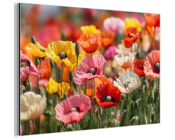 Aluminium schilderij 150x100 cm - Wanddecoratie metaal - Bloemenveld - Klaprozen - Kleurrijk - Metalen muurdecoratie woonkamer - Decoratie industrieel - Foto op dibond - Industriële accessoires slaapkamer